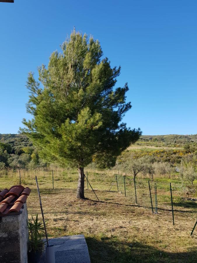 Villetta Nel Verde Ascea Luaran gambar