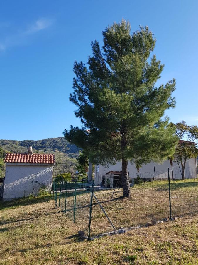 Villetta Nel Verde Ascea Luaran gambar