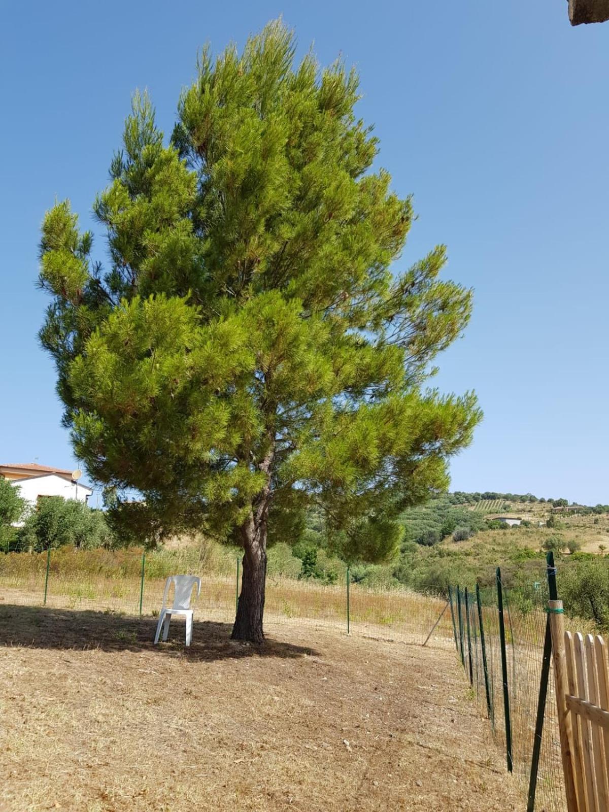 Villetta Nel Verde Ascea Luaran gambar