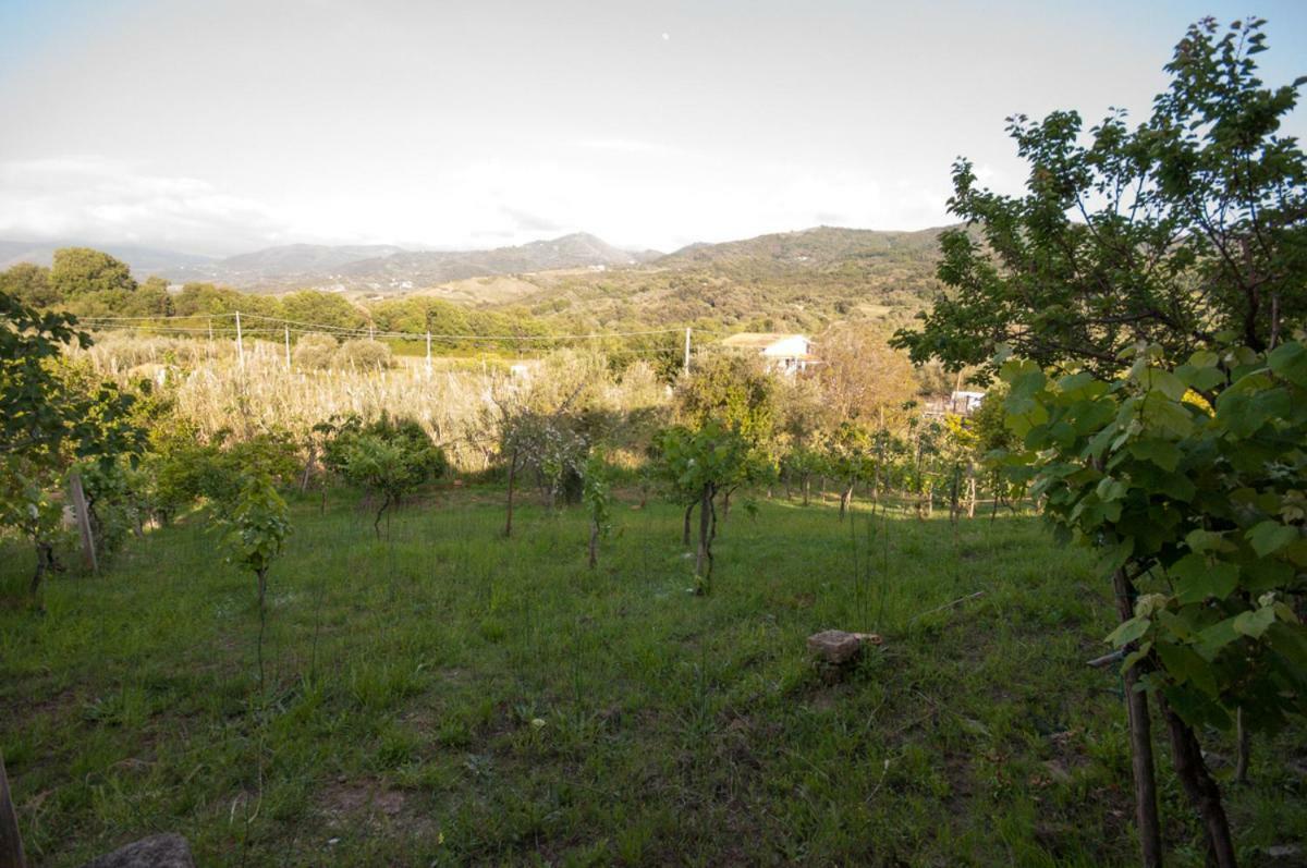 Villetta Nel Verde Ascea Luaran gambar